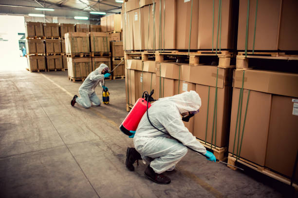 Best Commercial Pest Control Services  in La Grulla, TX