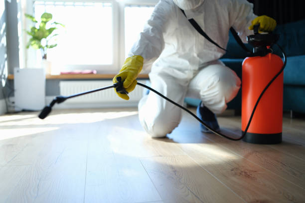 Best Wasp Removal Services  in La Grulla, TX