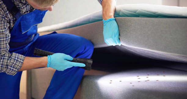 Best Best Pest Control Companies  in La Grulla, TX
