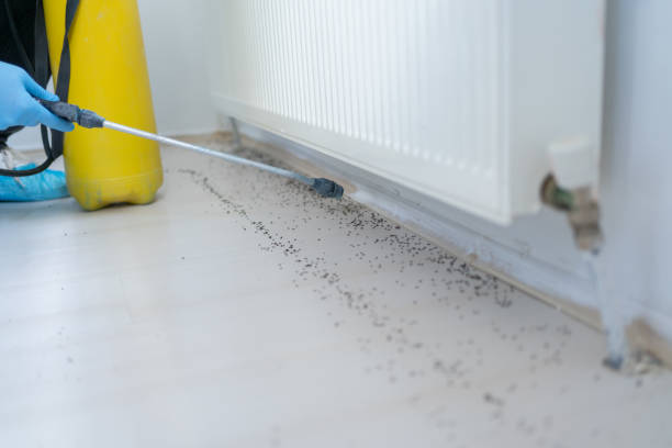 Best Cockroach Control Services  in La Grulla, TX