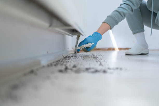 La Grulla, TX Pest Control Company